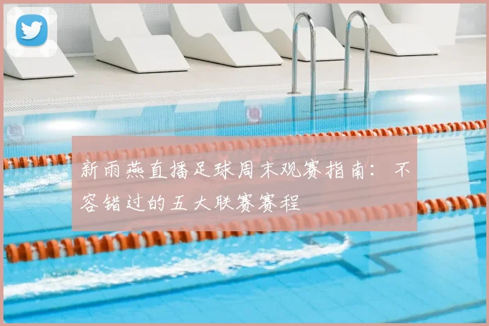新雨燕直播足球周末观赛指南:不容错过的五大联赛赛程