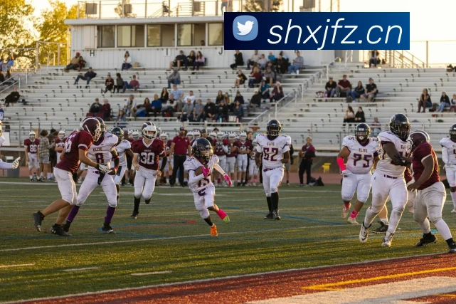 米兰app体育登录入口安全吗全站App